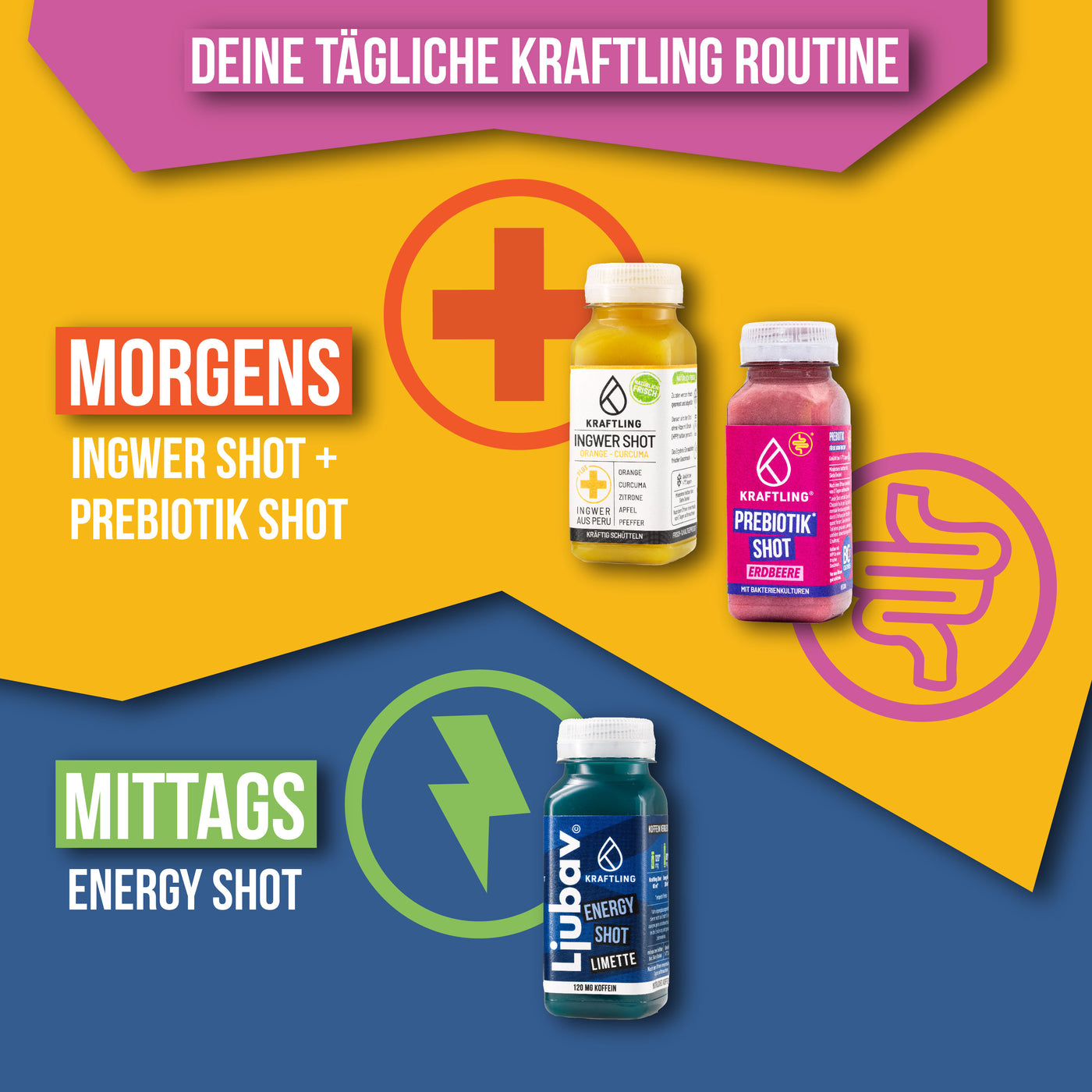 Probierpaket - Prebiotik Shot Mix