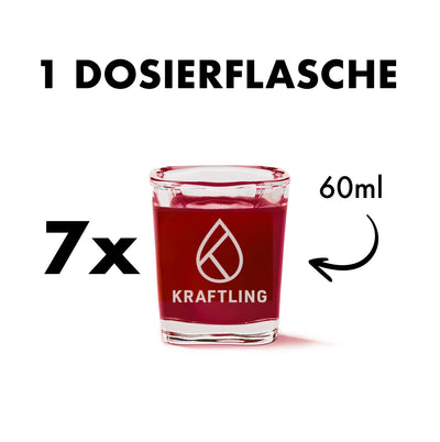 Monatsration - Ingwer Shot Beeren Mix Dosierflasche - 4 x 7 Shots