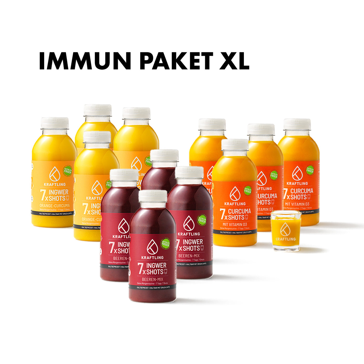 Immun Paket XL -  Dosierflaschen Mix - 12 x 7 Shots