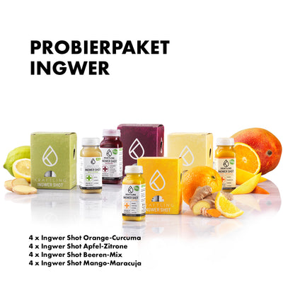 Probierpaket - Ingwer Shot Mix